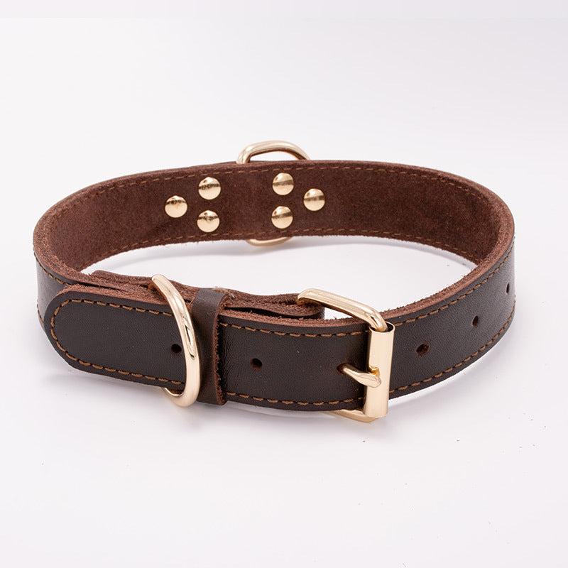 Stylish Adjustable Dog Collar