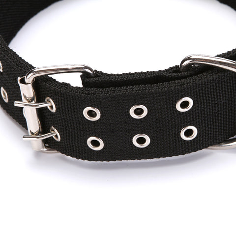 Premium Canvas Dog Collar for Comfort and Style