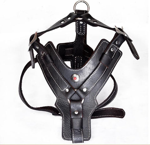 Premium Oil Leather Dog Harness