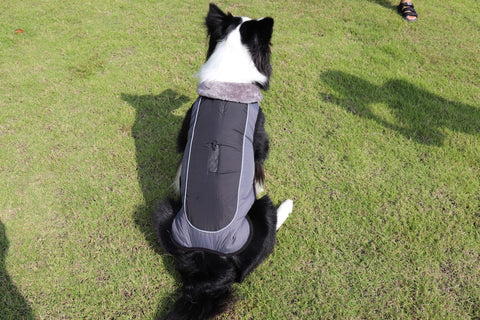 Reflective Thickened Padded Dog Coat for Ultimate Warmth and Style