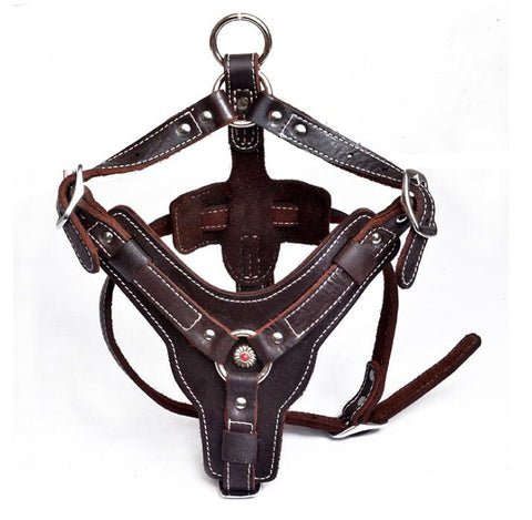 Premium Oil Leather Dog Harness