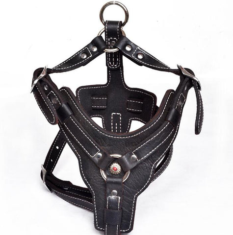 Premium Oil Leather Dog Harness