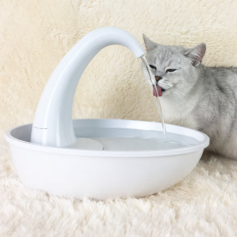 Stylish Cat and Dog Water Fountain with Flowing Fresh Water