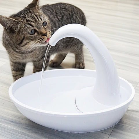 Stylish Cat and Dog Water Fountain with Flowing Fresh Water