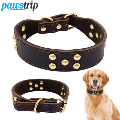 Stylish Adjustable Dog Collar