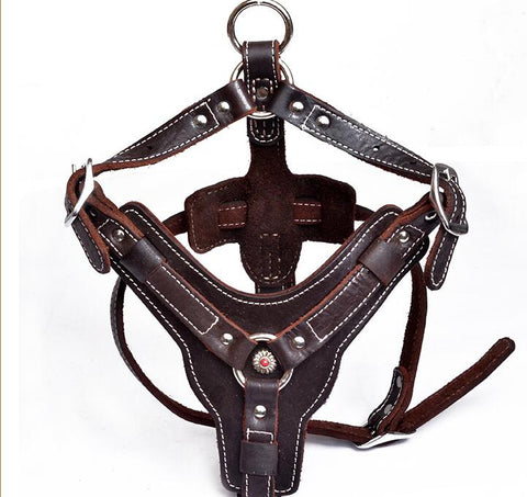 Premium Oil Leather Dog Harness