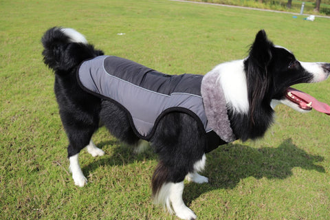 Reflective Thickened Padded Dog Coat for Ultimate Warmth and Style