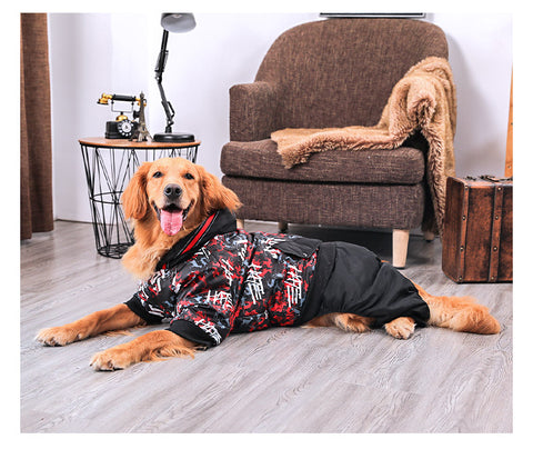 Chic Apparel for Large Dogs