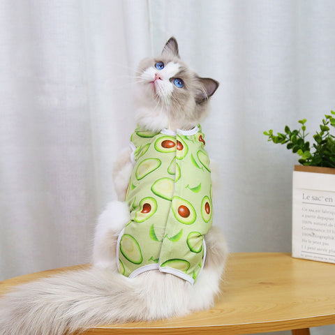 Stylish Surgical Recovery Wear for Cats - Spay and Neuter Clothing