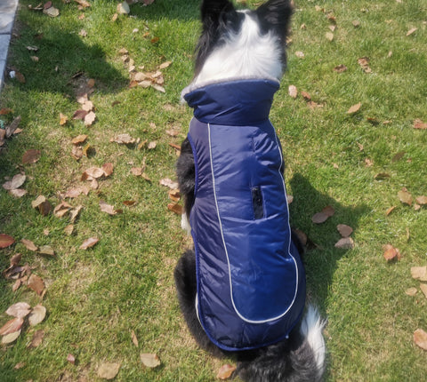 Reflective Thickened Padded Dog Coat for Ultimate Warmth and Style