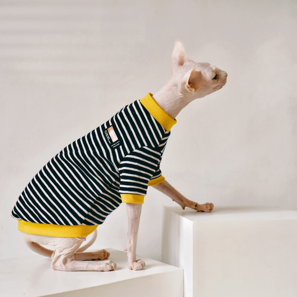 Sleek Style Hairless Cat Apparel for Sphinx Breeds