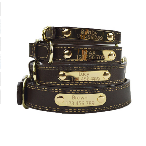 Personalized Lettering Dog Collar for Medium to Large Breeds