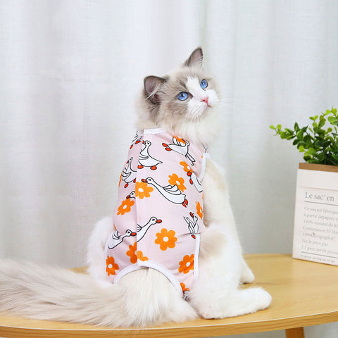 Stylish Surgical Recovery Wear for Cats - Spay and Neuter Clothing