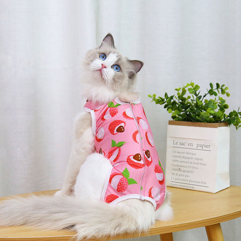 Stylish Surgical Recovery Wear for Cats - Spay and Neuter Clothing