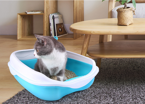 Ultra Absorbent Premium Cat Litter with Advanced Odor Control