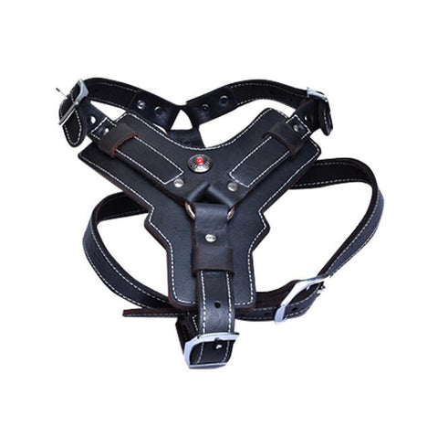 Premium Oil Leather Dog Harness