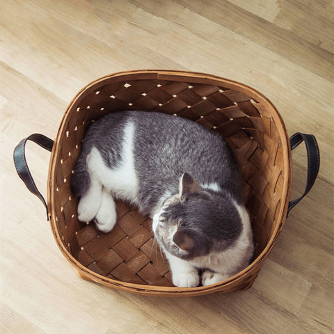 Elegant Rattan Bamboo Cat Bed Retreat: A Cozy Haven for Your Furry Companion