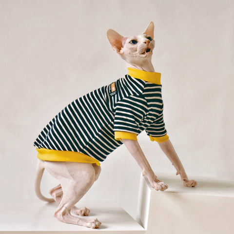 Sleek Style Hairless Cat Apparel for Sphinx Breeds