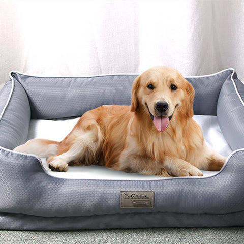 Cozy Removable Dog Beds with Easy-Clean Features