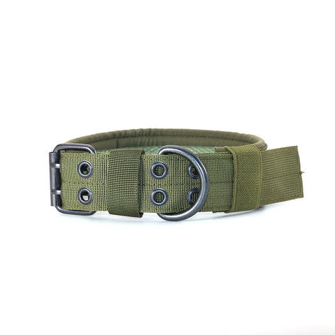 Stylish Copybook Dog Collar for Medium and Large Breeds